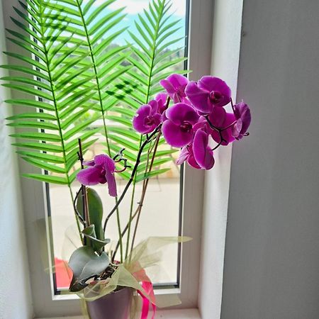 Grey Luxury House Apartment Ипсос Екстериор снимка
